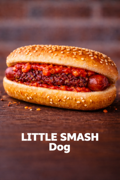 Little SMASH Dog