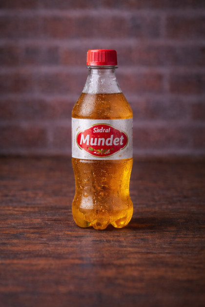 Sidral Mundet 355 ml